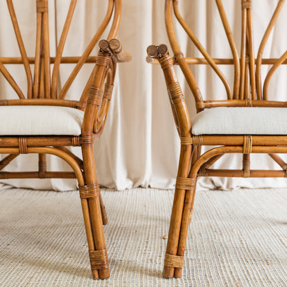 Rattan upholstered armchairs