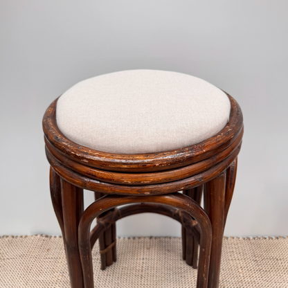 Pair of rattan bar stools